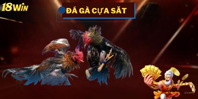 Các hình thức đá gà tại 18win